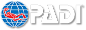 padi.png