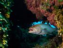underwater