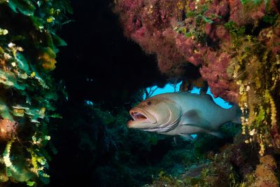 underwater