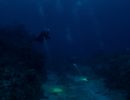 underwater