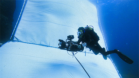 Underwater Camera Rental